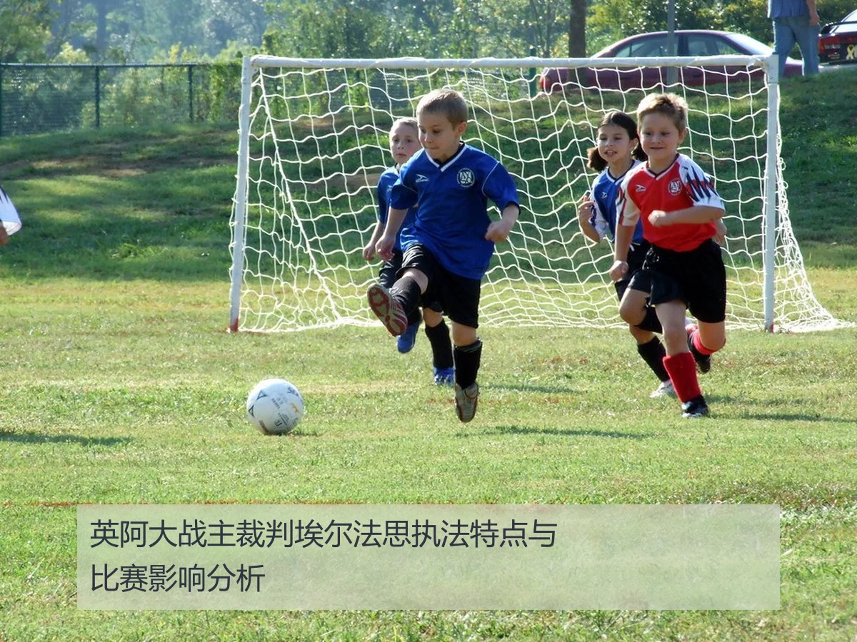 英阿大战主裁判埃尔法思执法特点与比赛影响分析